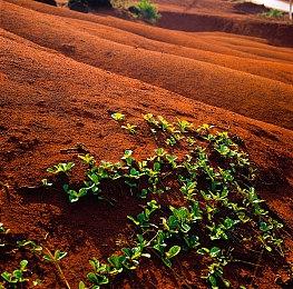 《幻兽帕鲁》全平台玩家已经超过了3200万人